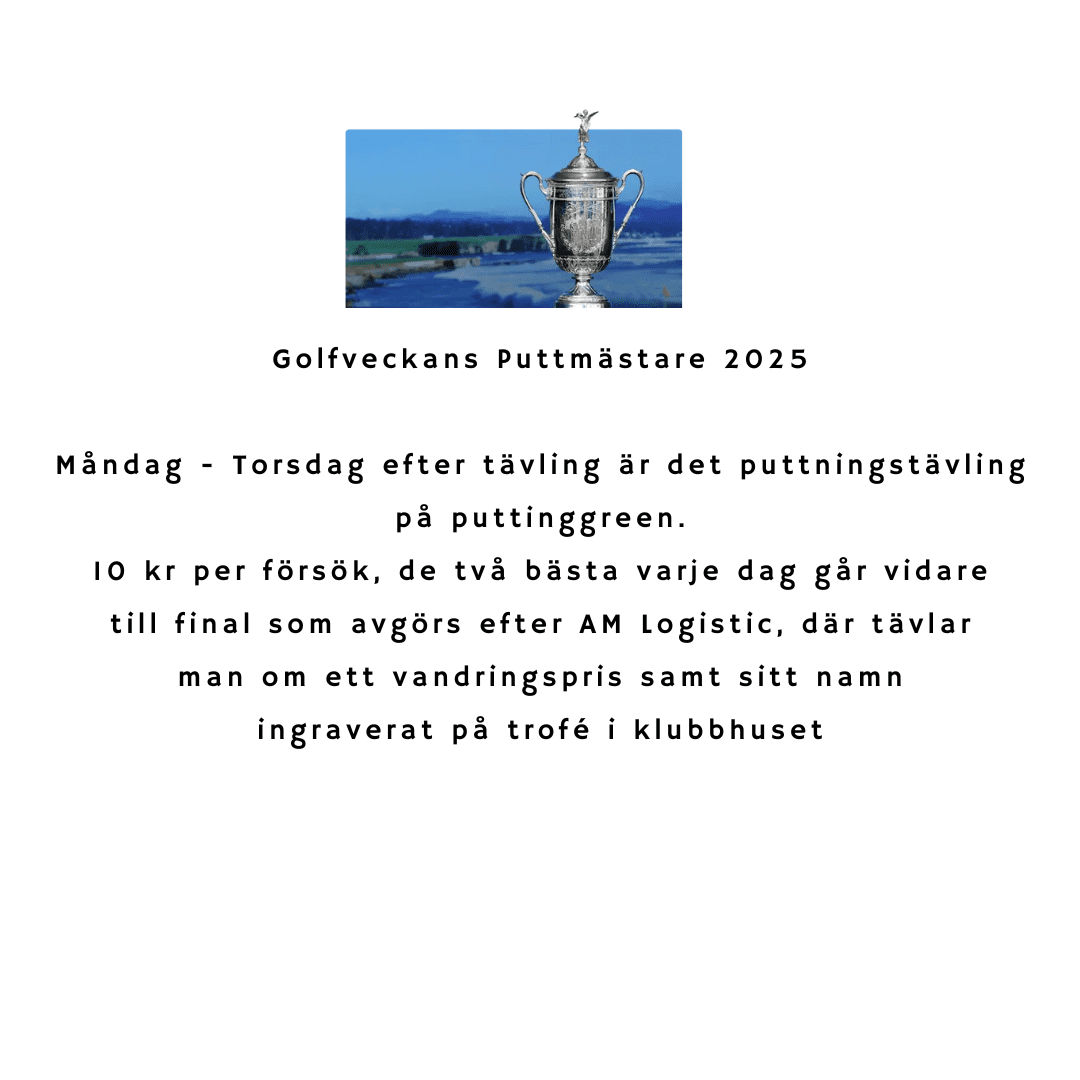 Golfspel (31)